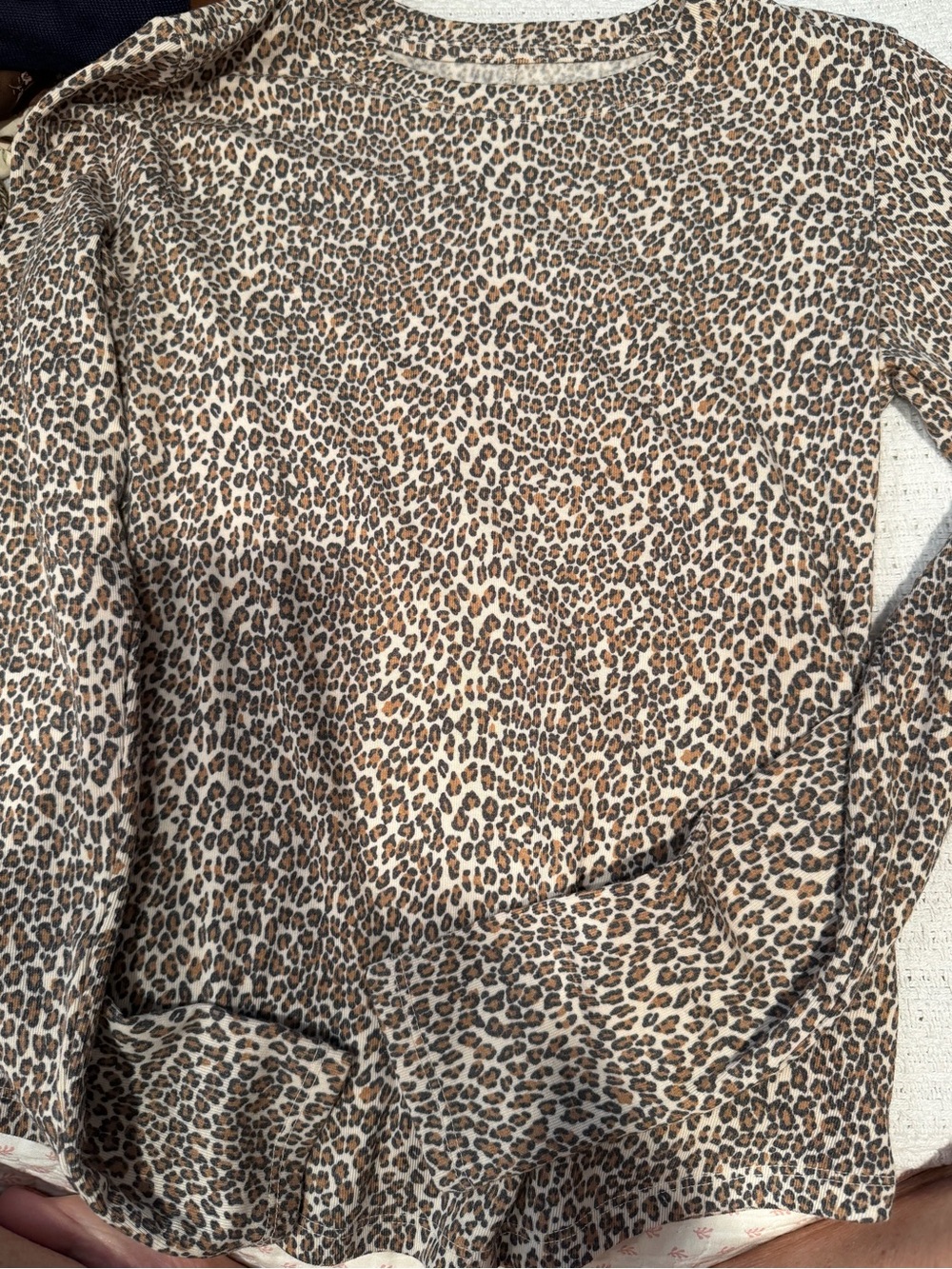American Eagle Outfitters Long Sleeve Leopard Print Top - Brown/Tan